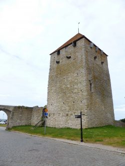 P1060205