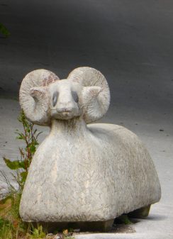 P1060217z